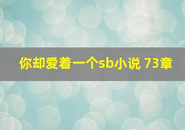 你却爱着一个sb小说 73章